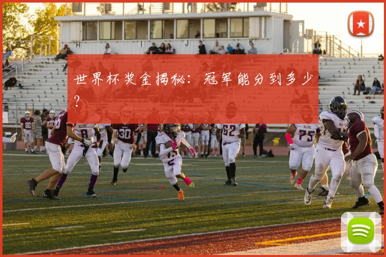 世界杯奖金揭秘：冠军能分到多少？