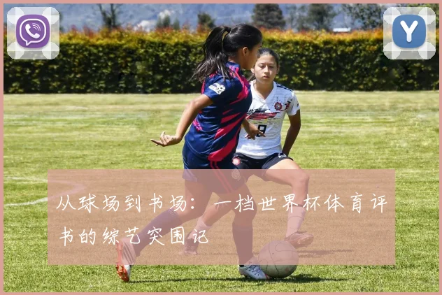 从球场到书场：一档世界杯体育评书的综艺突围记