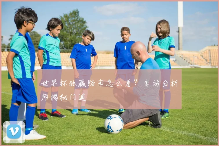 世界杯独赢赔率怎么看？专访分析师揭秘门道