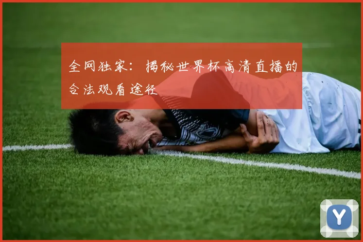 全网独家：揭秘世界杯高清直播的合法观看途径