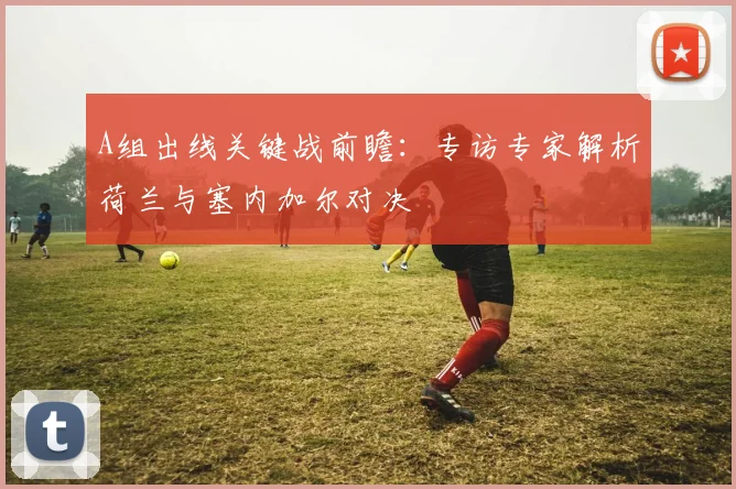 A组出线关键战前瞻：专访专家解析荷兰与塞内加尔对决