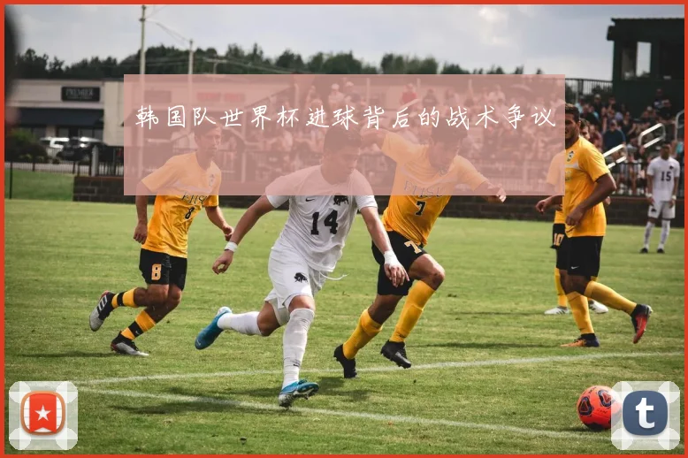 韩国队世界杯进球背后的战术争议
