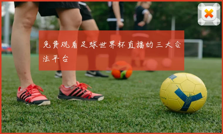 免费观看足球世界杯直播的三大合法平台