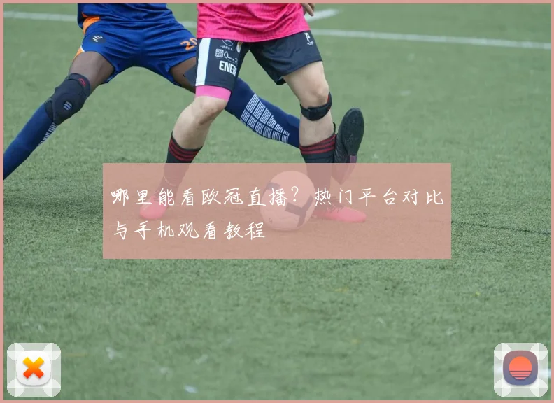 哪里能看欧冠直播?热门平台对比与手机观看教程