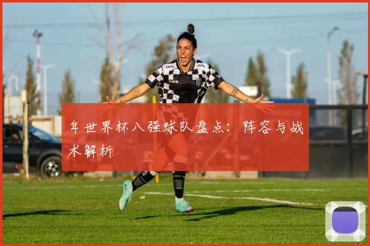 年世界杯八强球队盘点:阵容与战术解析