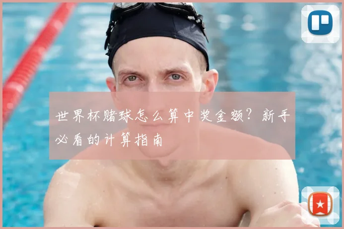 世界杯赌球怎么算中奖金额?新手必看的计算指南