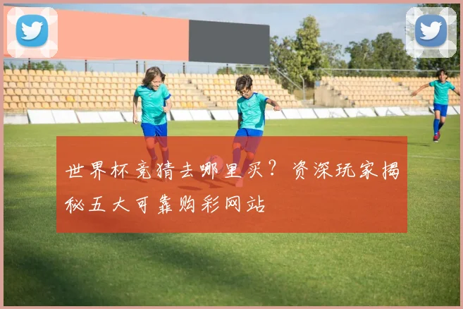 世界杯竞猜去哪里买?资深玩家揭秘五大可靠购彩网站