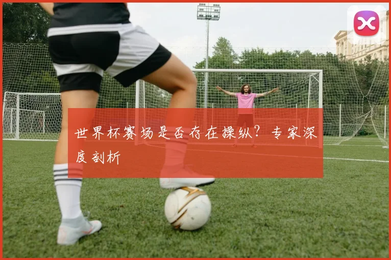 世界杯赛场是否存在操纵？专家深度剖析