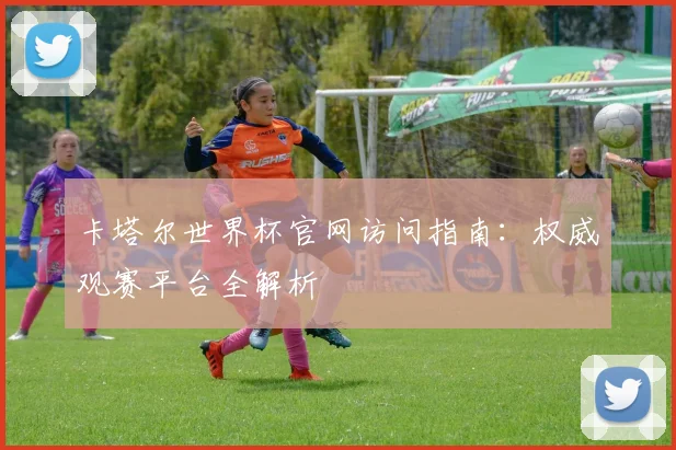 卡塔尔世界杯官网访问指南：权威观赛平台全解析