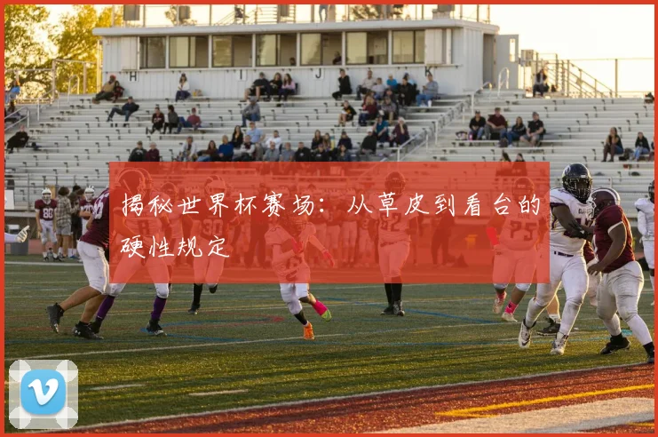 揭秘世界杯赛场：从草皮到看台的硬性规定