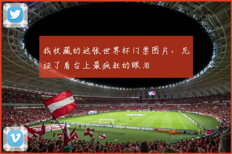 我收藏的这张世界杯门票图片，见证了看台上最疯狂的眼泪