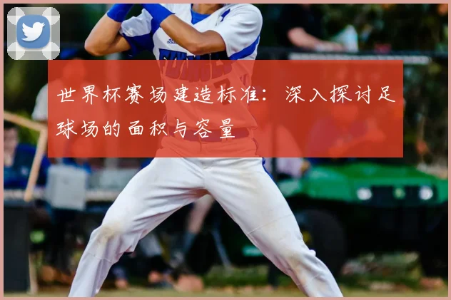 世界杯赛场建造标准：深入探讨足球场的面积与容量