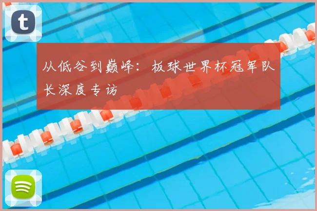 从低谷到巅峰:板球世界杯冠军队长深度专访