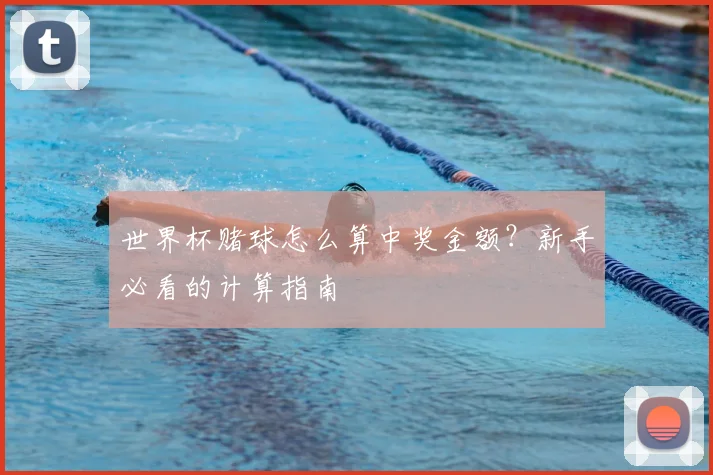 世界杯赌球怎么算中奖金额？新手必看的计算指南