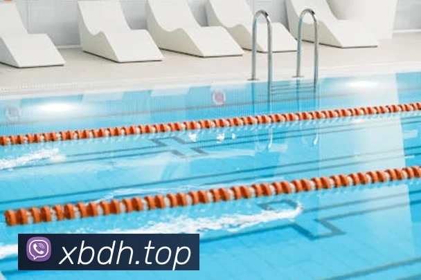 乐鱼网页版登录界面首页APP 封面图